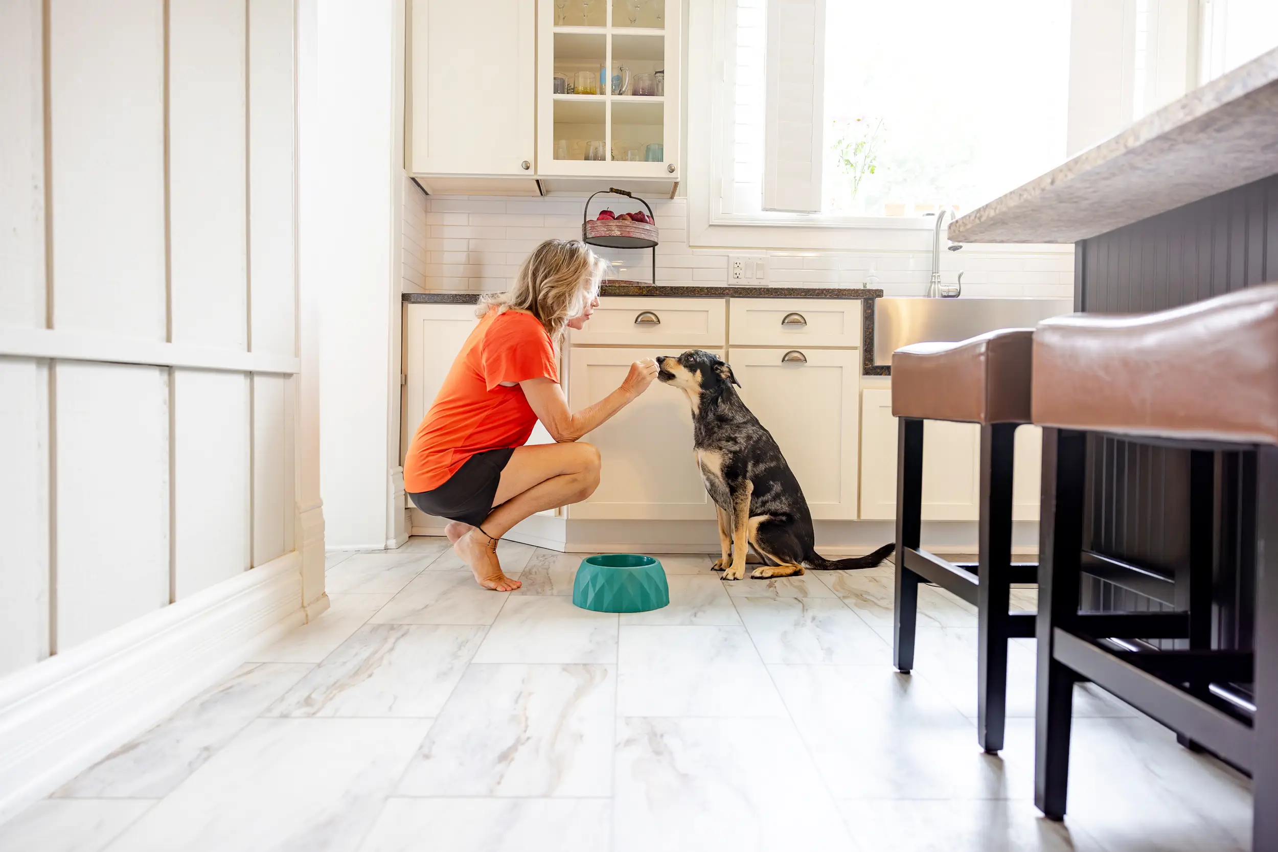 St. Louis lifestyle photography shoot for pet food brand. Women feeding a dog a treat in bright kitchen